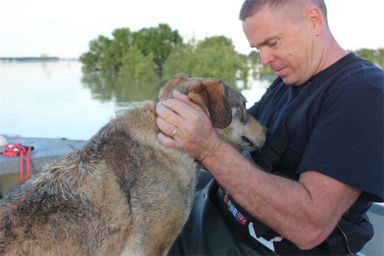 Slika /slike/Spasavanje zivotinja_Gunja (1).JPG